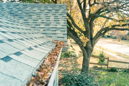 Gutter cleaning nashville tn